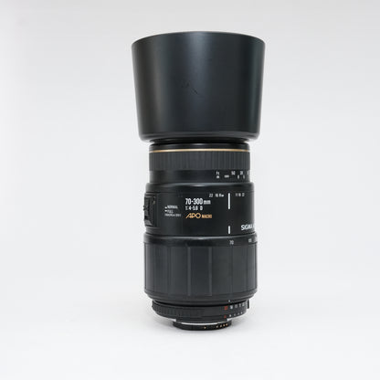 [ Fair ] SIGMA APO MACRO 70-300mm 1:4-5.6 D F mount