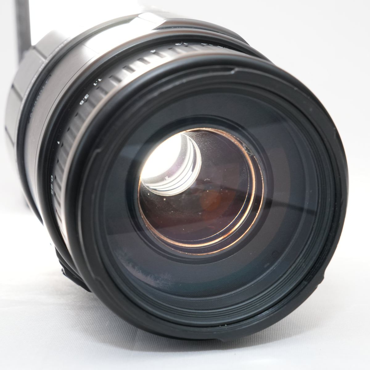 [ Fair ] SIGMA APO MACRO 70-300mm 1:4-5.6 D F mount